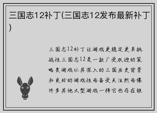 三国志12补丁(三国志12发布最新补丁)